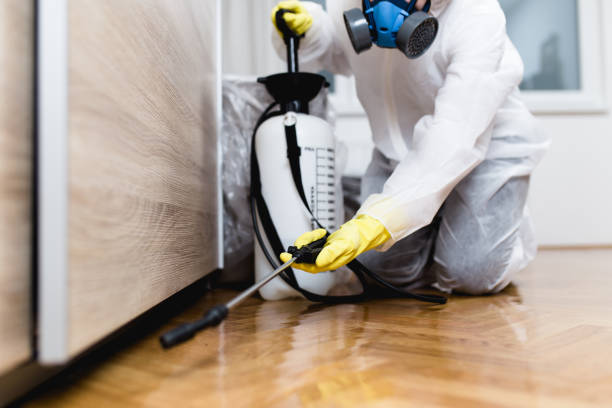 Best Bed Bug Extermination  in Monsey, NY