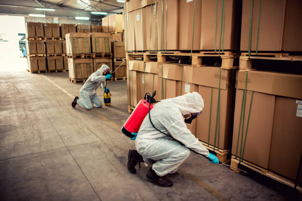 Best Local Pest Control Services  in Monsey, NY