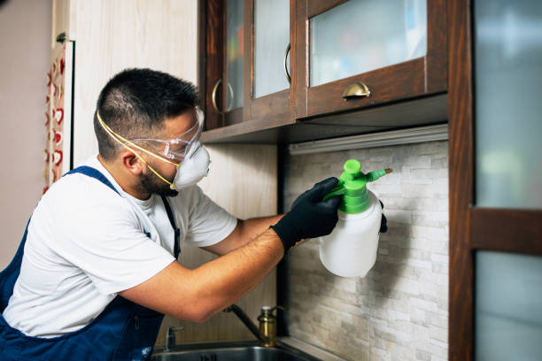 Best Residential Pest Control  in Monsey, NY