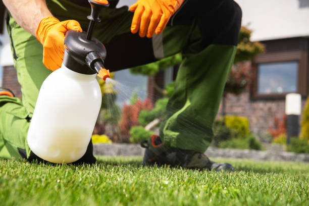 Best Best Pest Control Companies  in Monsey, NY