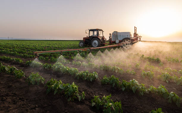Best Commercial Pest Control Services  in Monsey, NY