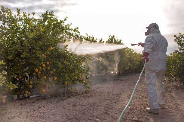Best Rat Extermination Near Me  in Monsey, NY