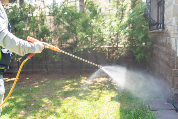 Best Bird Control  in Monsey, NY