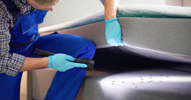 Best Pest Control Cost  in Monsey, NY