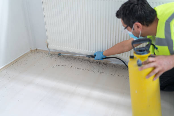 Pest Prevention Services in Monsey, NY