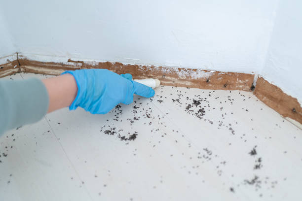 Wildlife Control Services in Monsey, NY