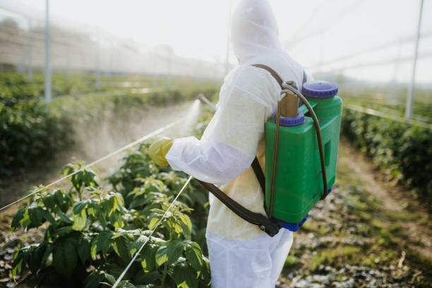 Pest Control for Restaurants in Monsey, NY